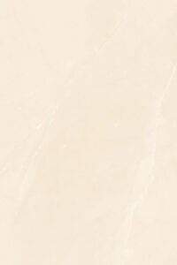 cl61208-d