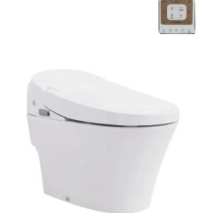 Bàn cầu thông minh V-SMART V91